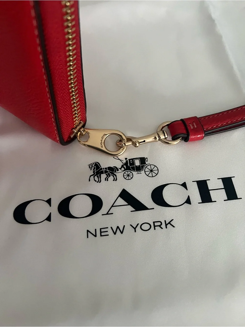 Coach Mini Bennett In Badlands Floral Print With Wallet